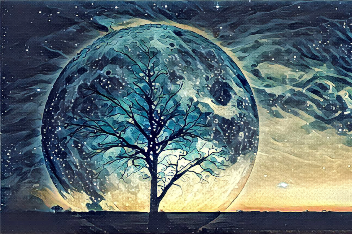 夏目漱石 こころ のあらすじ 感想 あなたは共感できますか